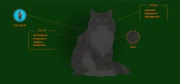 Tuhkasydän-nettisivu.png (191 KiB) Tuhkasydämen profiili virallisella Warrior Cats -sivustolla.