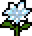 Mirror Flower.png