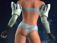 Back view