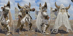 SC6-Zasa-C1