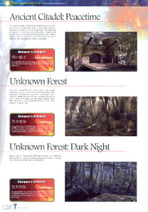 Stage: Unknown Forest