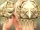 Guardian's Spaulders