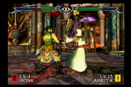 Amrita fight