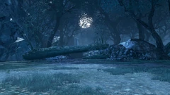 Soulcalibur VI Screenshot 20231012 - 20524945