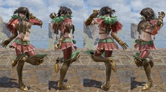 SC6-Tira-C4