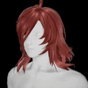 R 028 HairB