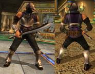 Assassin (2P) in Soulcalibur II