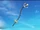 Kogarashi (Weapon)