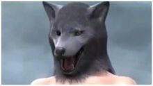 EbxOGY1XsAAqTTm