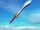 Yun-seong Weapons Gallery (SCIII)