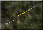 SC3-File8-File36