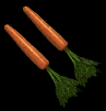 Carrots