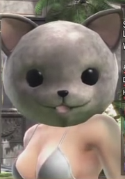 KittyMeow