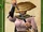 Kiku
