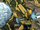 Xi Sword & Game Shield