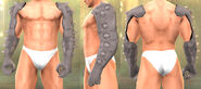Aculeus Arm in Soulcalibur: Broken Destiny