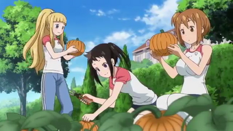 Jot Arc Soul Eater Wiki Fandom Cop craft episode 3 english dub magic anime 2020. jot arc soul eater wiki fandom