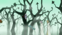Soul Eater Episode 44 HD - Medusa's forest 4