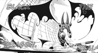 Chapter 14 - Ragnarok's Real Black Dragon form
