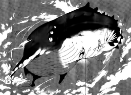 Sky Whale