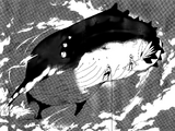 Sky Whale