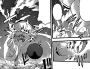 Tsar sous sa forme transformée