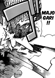 Le Tranche Sorcière de Spirit
