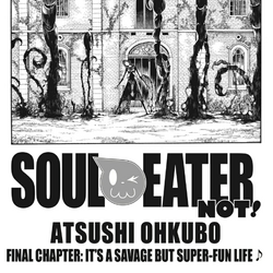 ソウルイーター25 (Soul Eater, #25) by Atsushi Ohkubo