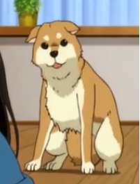 Today's anime dog of the day is: Pochi from Do It