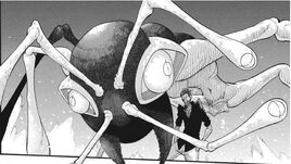 Noah summoning an ant.