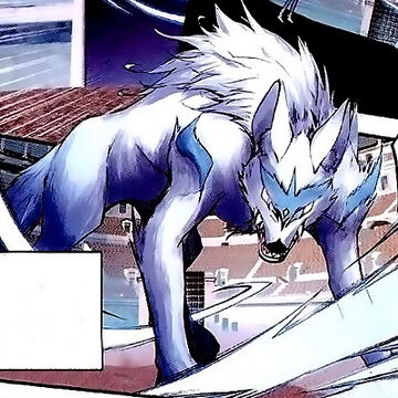 Anime Wolf Wallpapers 77 images