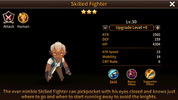 Skilled Fighter