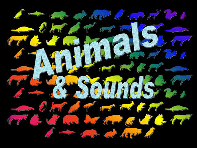 Sound Ideas, ANIMAL, LION - SINGLE ROAR, CAT, Soundeffects Wiki