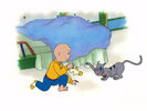 Caillou Sound Ideas, CAT - DOMESTIC: SINGLE MEOW, ANIMAL 01