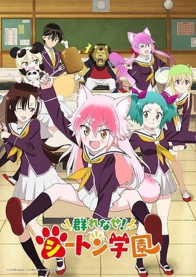 Seton Academy Join the Pack.jpg