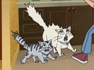 Braceface Hollywoodedge, Cats Two Angry YowlsD PE022601 (1st and 2nd yowls)