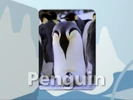 Baby Noah: Animal Expedition (2004) (Videos) Sound Ideas, PENGUIN - EMPEROR PENGUIN: SINGLE LONG CALL, ANIMAL, BIRD 01