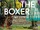 Cutie and the Boxer (2013)