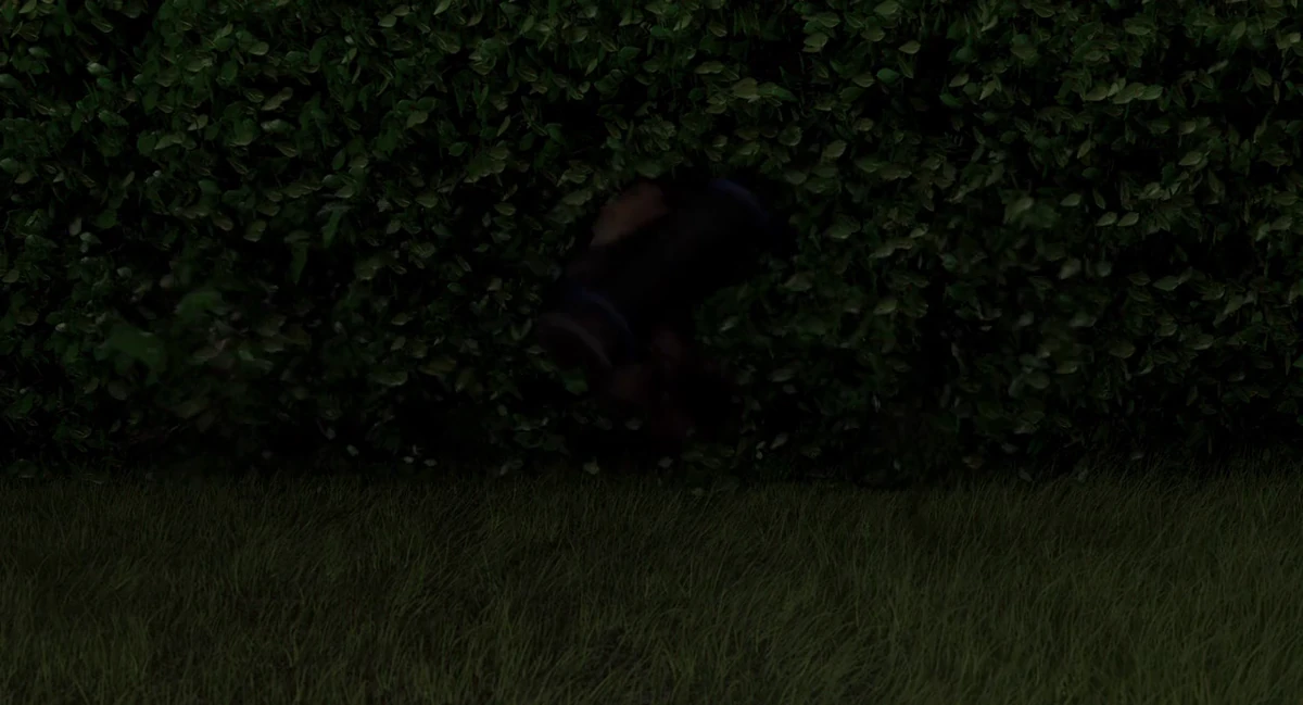 Sound Ideas, BEAR LARGE BLACK BEAR SINGLE ROAR, ANIMAL 01