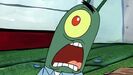 Plankton Shocked