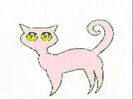 Teachmmobile Pink Cat