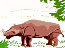 Animals Video Sounds for Kids-Part 2 Valentino Rhinoceros