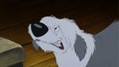 The Little Mermaid (1989) Sound Ideas, DOG - GERMAN SHEPHERD: ANGRY GROWLS AND BARKS, ANIMAL (growl only, higher pitched)