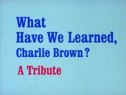 Title-WhatHaveWeLearnedCharlieBrown