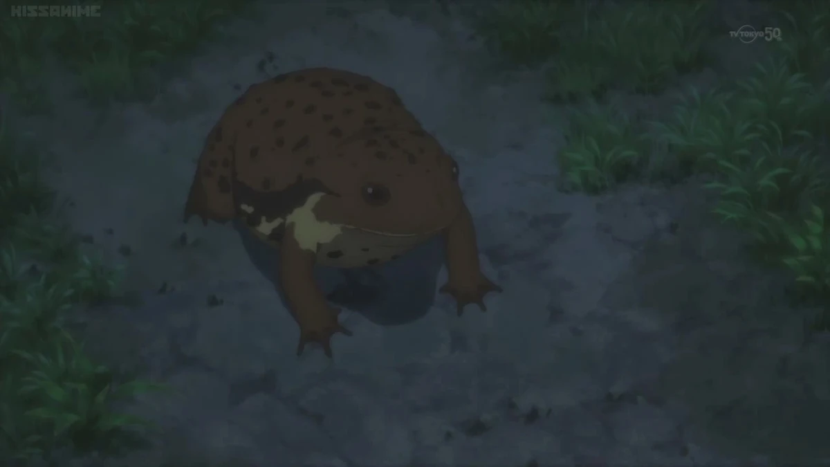 Sound Ideas, FROG, BULLFROG CROAKING, ANIMAL, AMPHIBIAN 02/Image