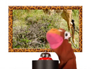 Wild Animal Safari (2010) (Videos) Earshot, Rubber Stretch A (cut short)