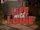 Life with Louie