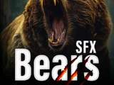 Bears Sound Effects Library