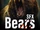Bears Sound Effects Library