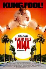 Beverly Hills Ninja poster